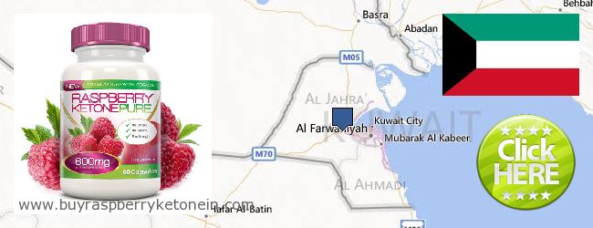 Πού να αγοράσετε Raspberry Ketone σε απευθείας σύνδεση Kuwait